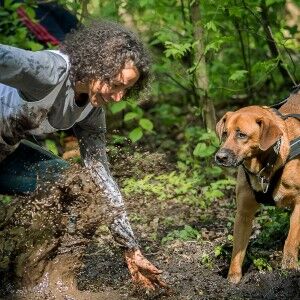 Action und Spaß mit Hund