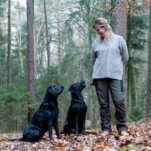 Hundetrainerin mit Hunden